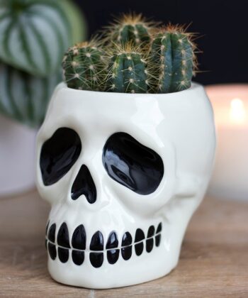 Ceramic White & Black Classic Skull Plant Pot - Gothic Homeware Gift Collection