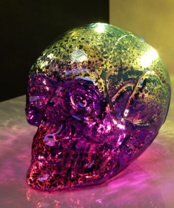 Beautiful Skulls and Roses Metallic Effect Two Tone Skull Head LED Light - Gothic Homeware Gift Collection