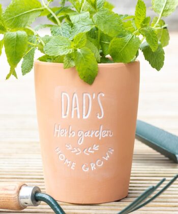 Dad's Herb Garden Terracotta Plant Pot