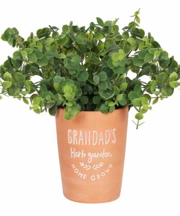 Grandad’s Herb Garden Small Terracotta Pot Home Grown Gift